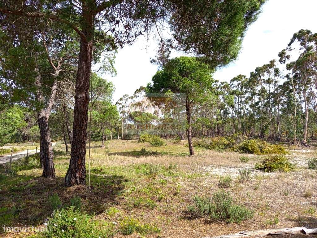 Casa de campo a 5 minutos da praia - Melides - Grande imagem: 4/12