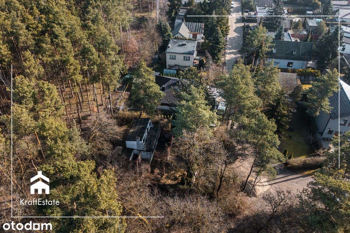 Działka w Lesie z Rozpoczętą Budową – Cerekwica - Pełny obrazek: 5/15