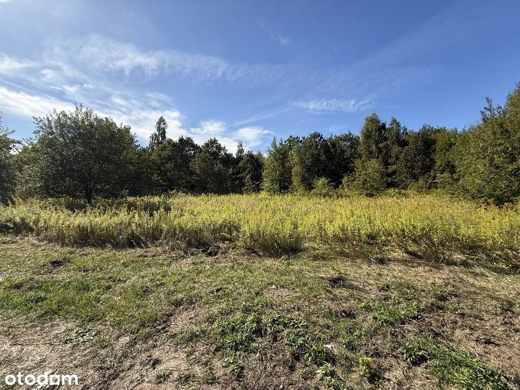 Działka budowlana nr 64/33, 1525 m², Starowa Góra - Pełny obrazek: 5/6