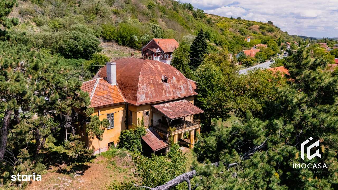 Vila Conac boieresc contelui Fabia 1920 de vânzare Păuliș Arad 2,4 ha - Imagine principală: 5/20