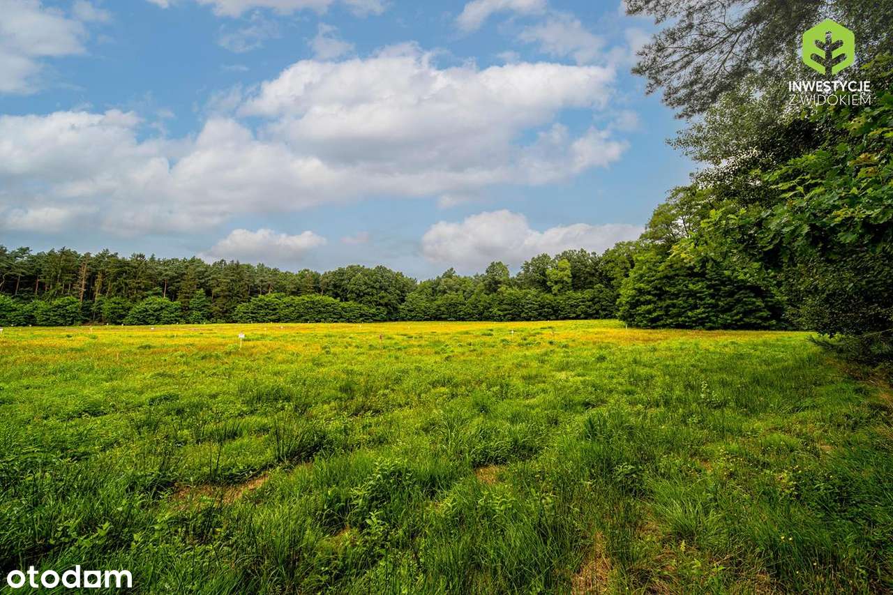 Ostatnie działki w tej cenie - 55 min od Warszawy - Pełny obrazek: 5/9