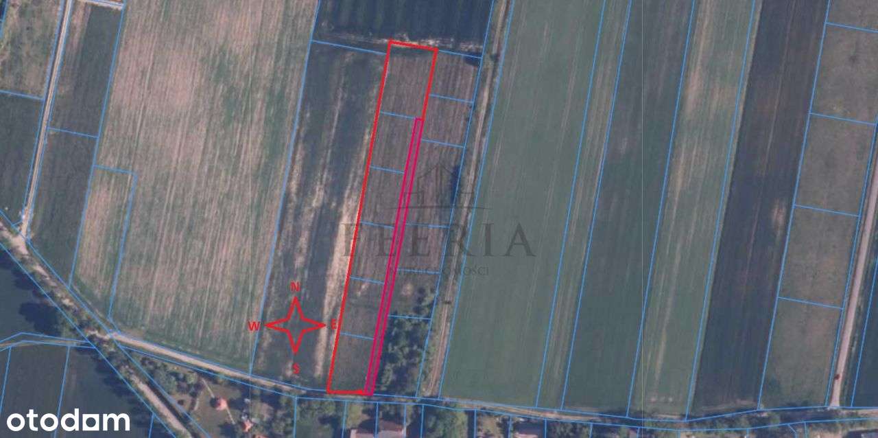 Działka nad morzem pod agroturystykę. - Pełny obrazek: 2/2