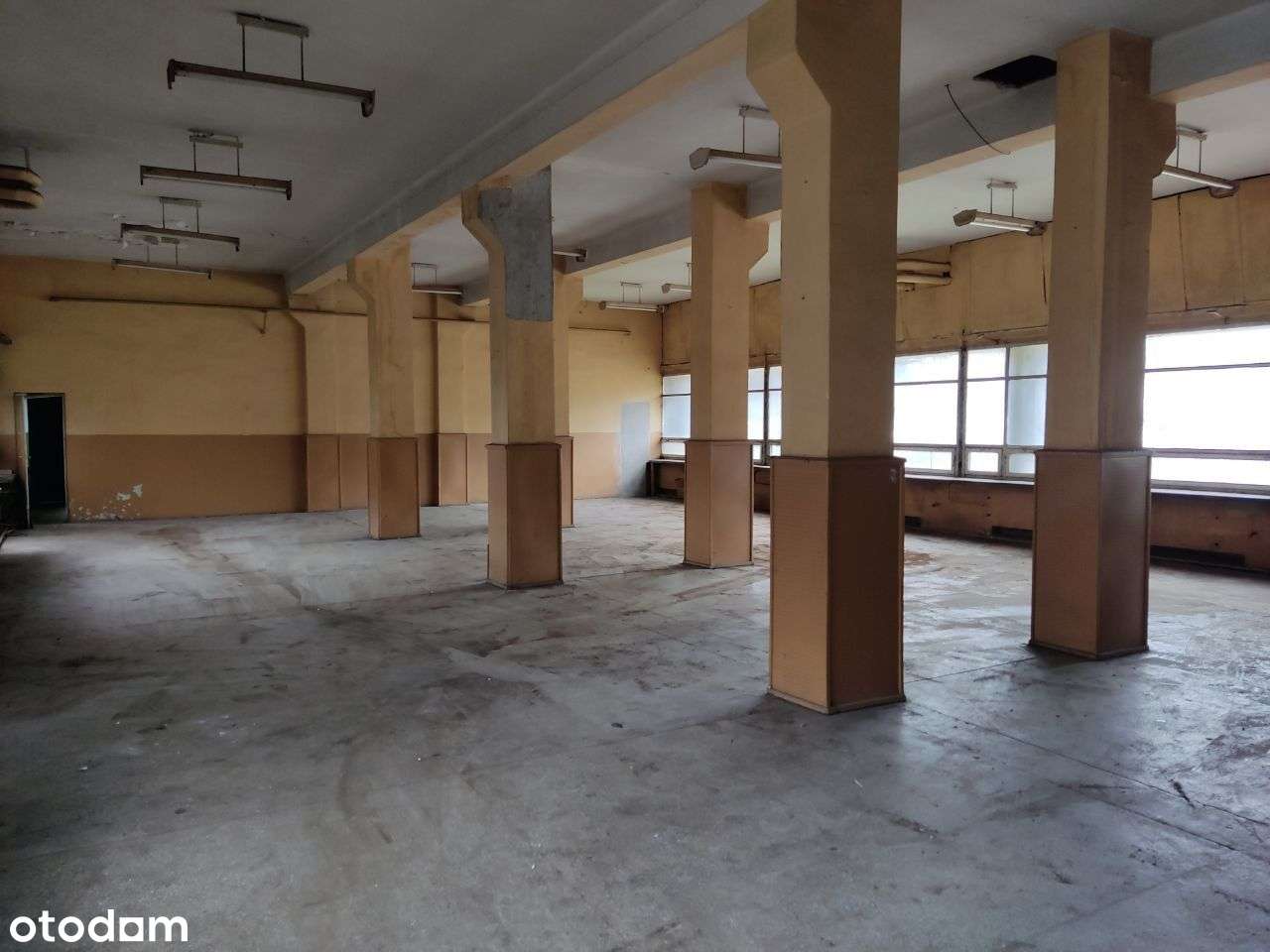 Wieżowiec- idealny dla dewelopera!-9