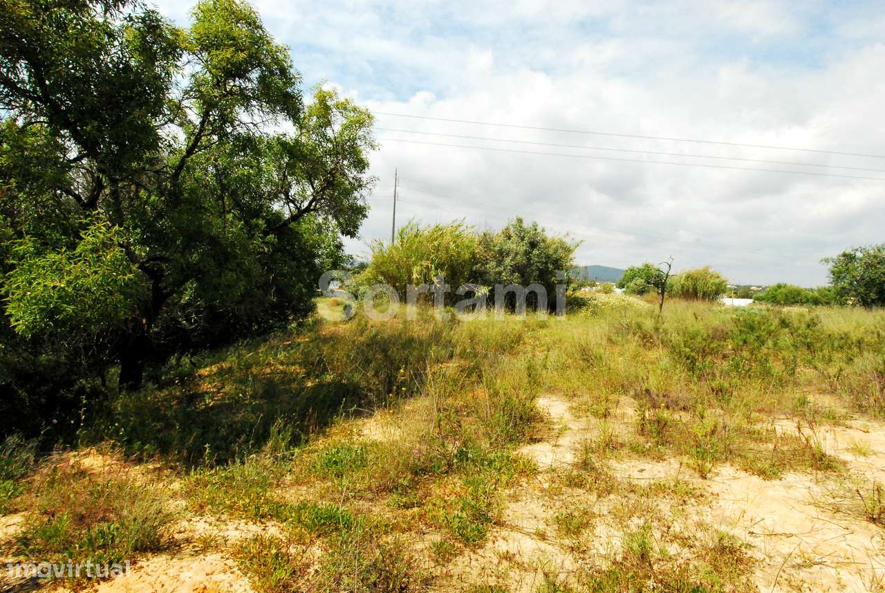 Terreno Rústico  Venda em Quelfes,Olhão - Grande imagem: 5/6