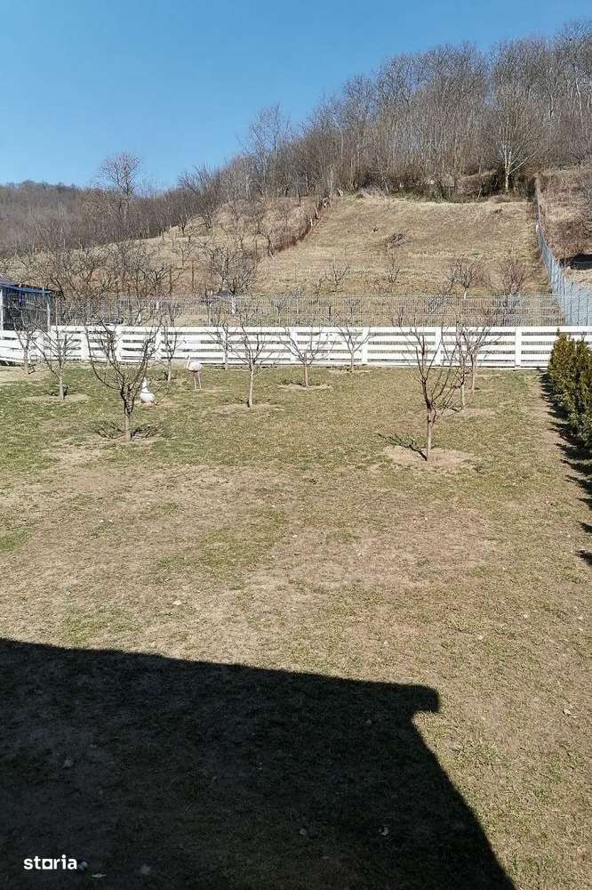 Casă cu mult teren-15