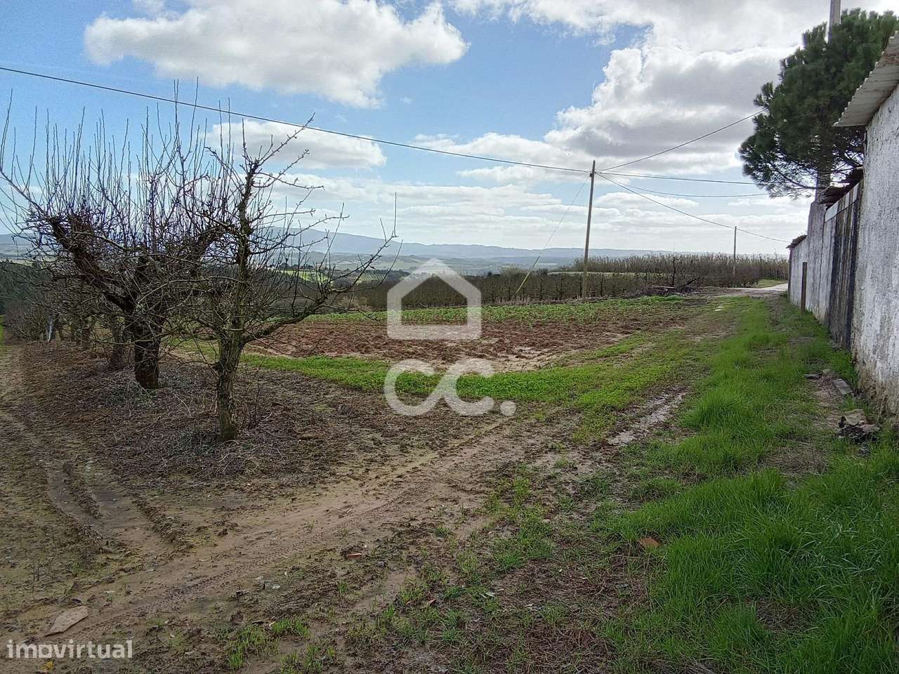 Terreno Rústico para venda com 9360m2 (urbanizável) em Carvalhal, Bomb-6