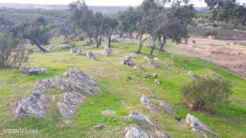 Quinta rica em água em Martim Longo - Grande imagem: 4/11