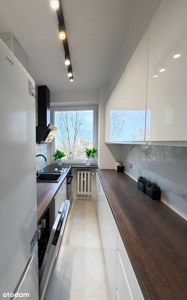 Tysiąclecie | 2 pok. | Po remoncie | AGD | BEZ PROWIZJI - Pełny obrazek: 2/7