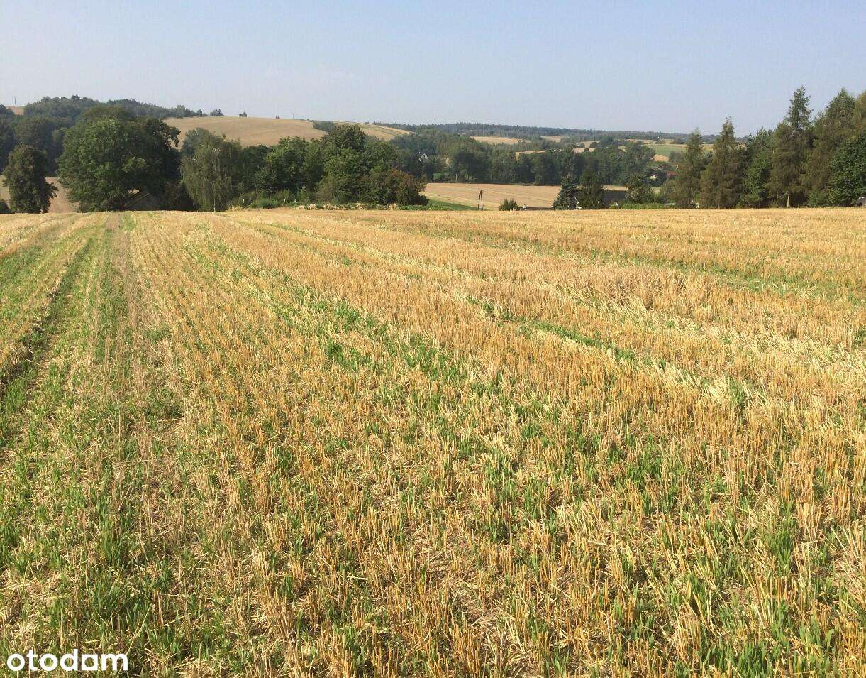 Działka, 1553.0 m², Grzegorzowice Wielkie-0