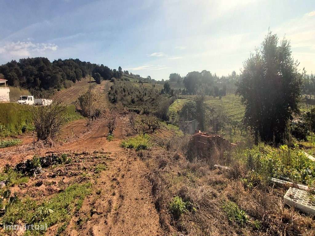 Terreno urbano com 12.560m2, Delgada - Grande imagem: 3/7