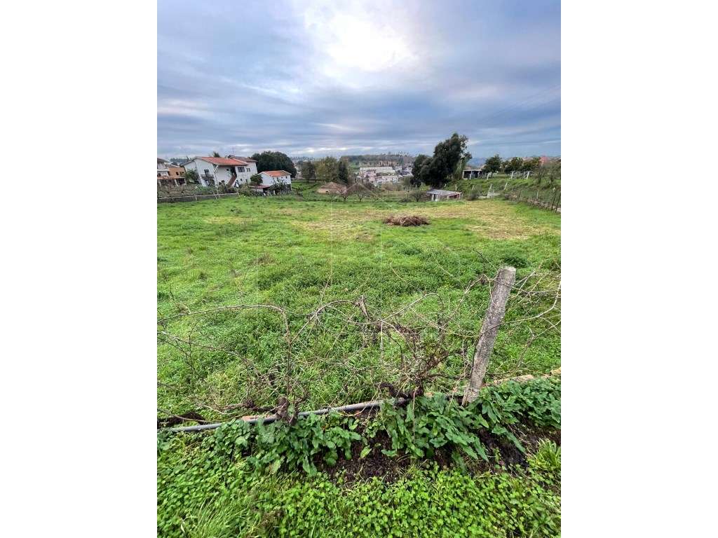 Terreno urbano na Borralha - Grande imagem: 5/7