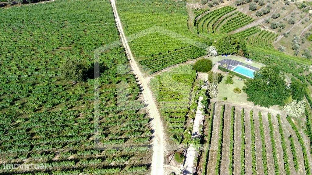 Douro Vinhateiro, Quinta Turística-55