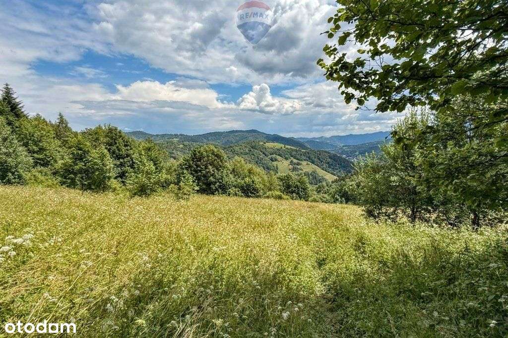 Nieruchomość gruntowa z widokiem na Gorce - Pełny obrazek: 5/5