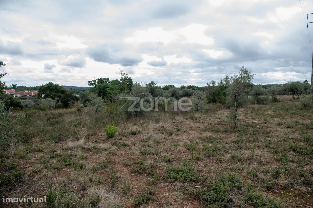 Terreno Rústico com 12.120 m² em Freixial do Campo - Castelo Branco - Grande imagem: 5/22