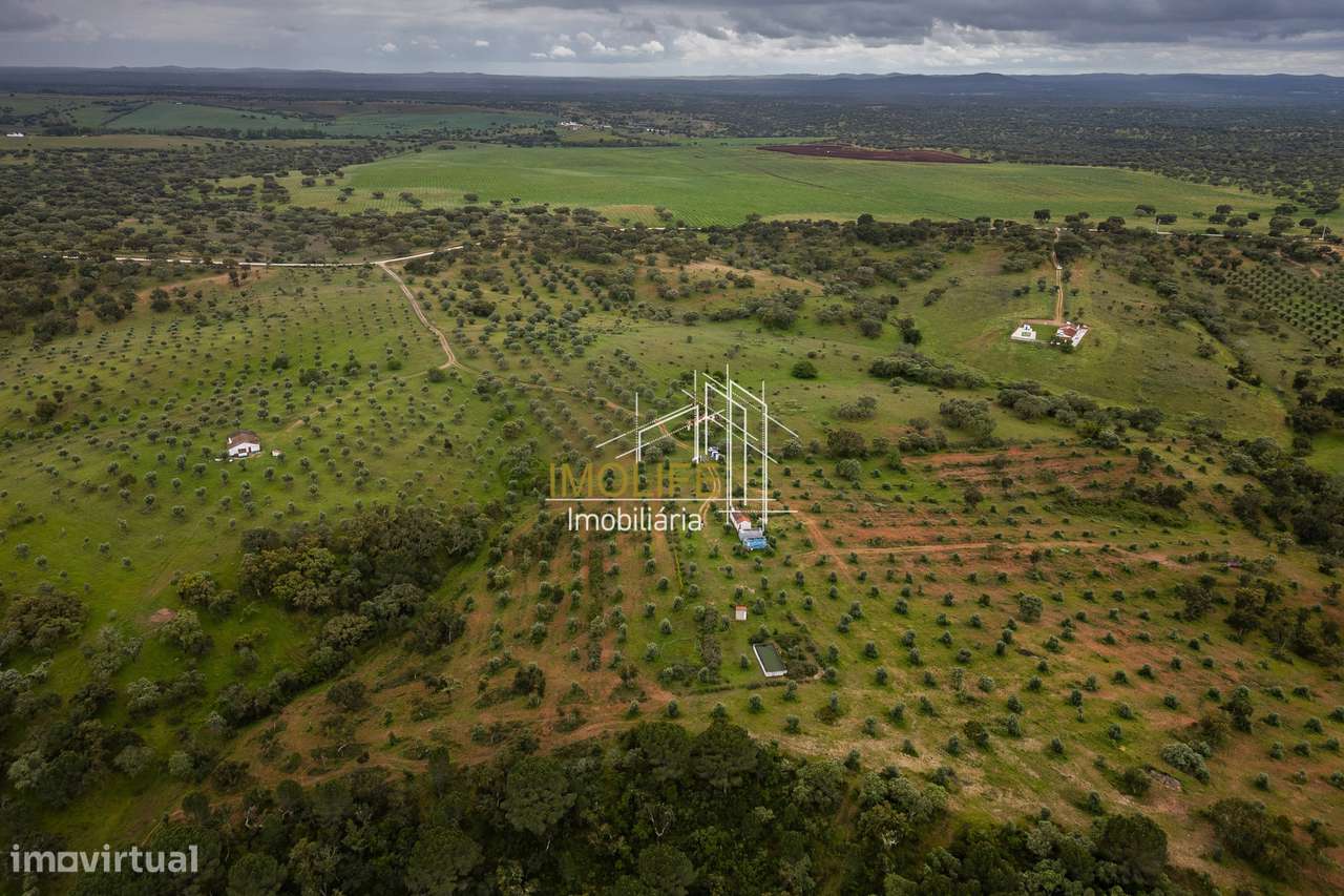 MONTINHO DO CHIADO - MALARRANHA - PAVIA-38