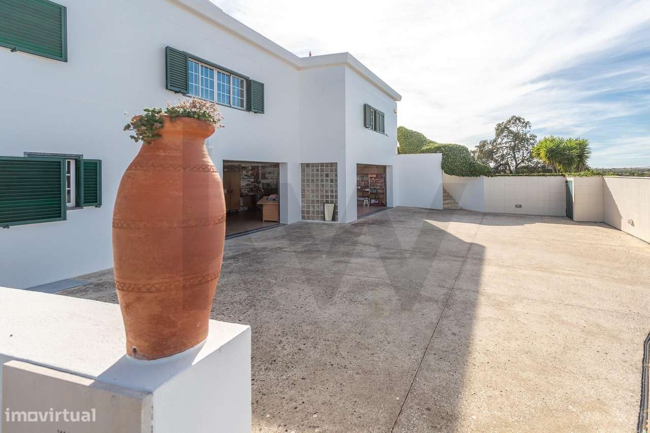 Quinta única em Almoster – ideal para habitação própria ou investiment - Grande imagem: 5/26