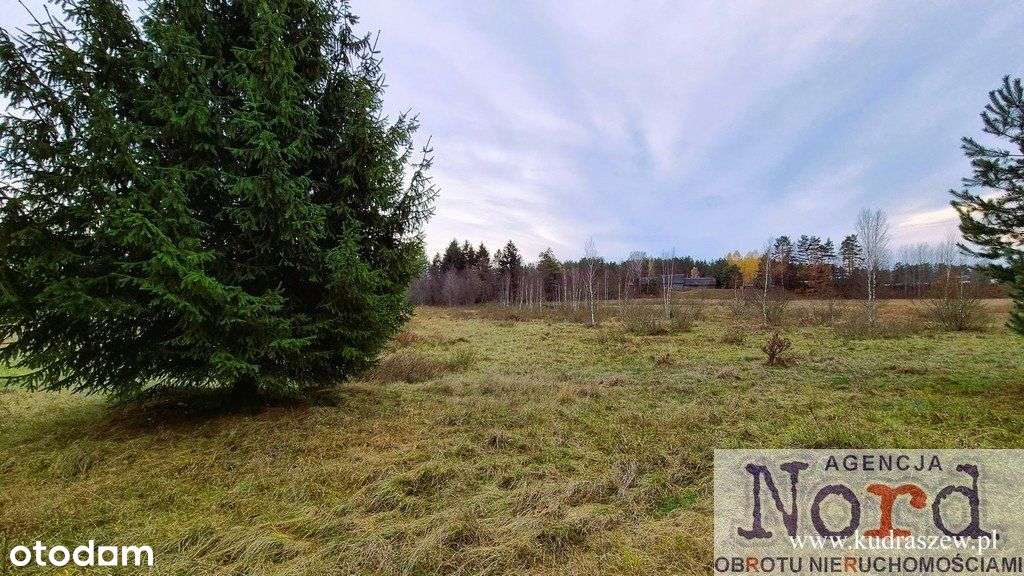 Gorczyca, Gmina Płaska, Piękna Działka - Pełny obrazek: 4/13