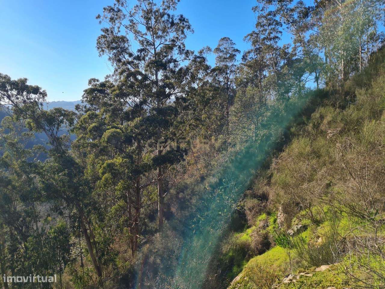 Quinta das Fontainhas, Rio de Moinhos, Penafiel-32