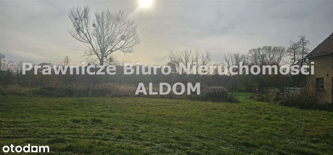 Działka usługowo rolna, Przygorzele, gm Świerczów-1