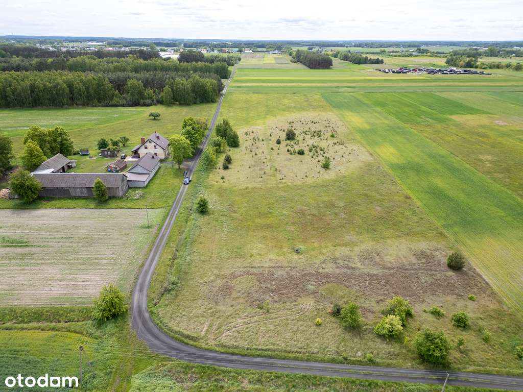 Działki na sprzedaż – Stare żdżary - Pełny obrazek: 5/11
