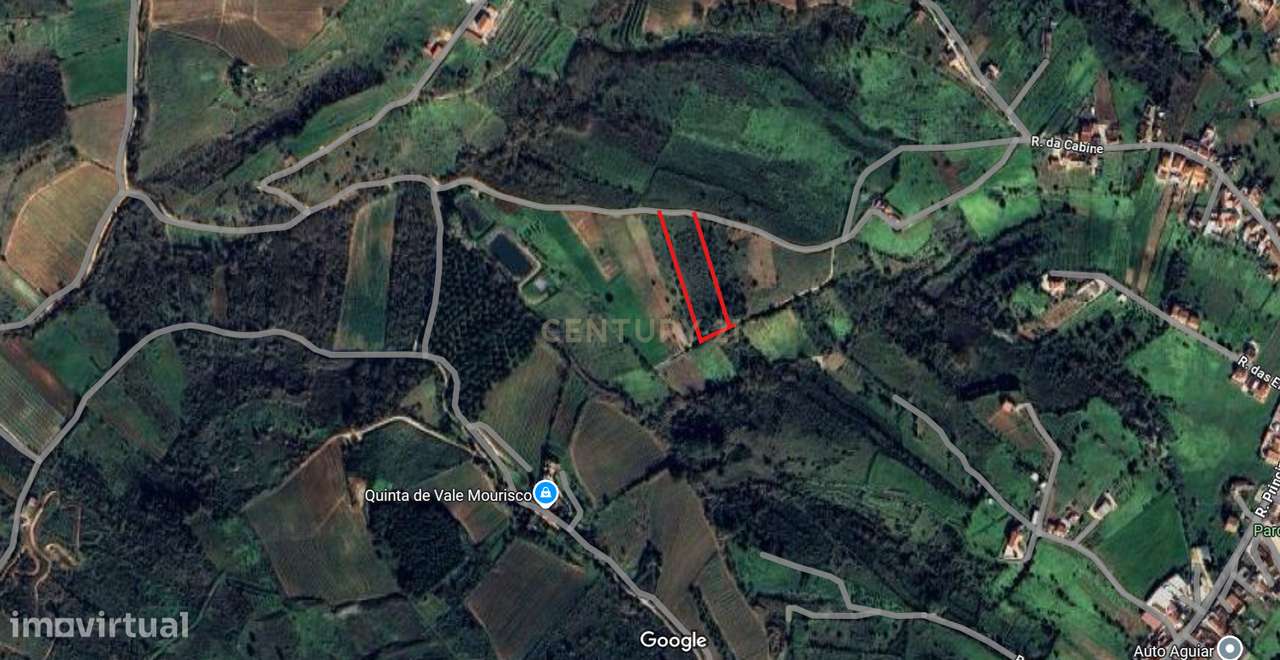 Terreno Rústico em Alenquer com Vista - Grande imagem: 4/4