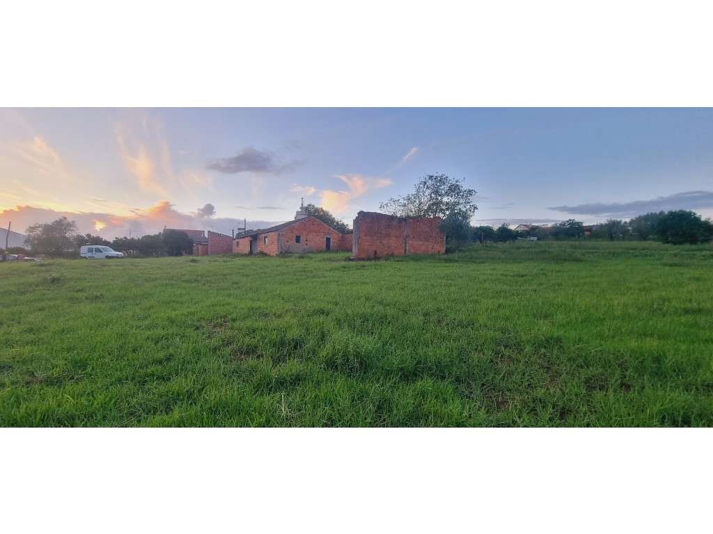 Terreno com 2500m² para construção no Vale da Pedra - Souto da Carp... - Grande imagem: 4/24