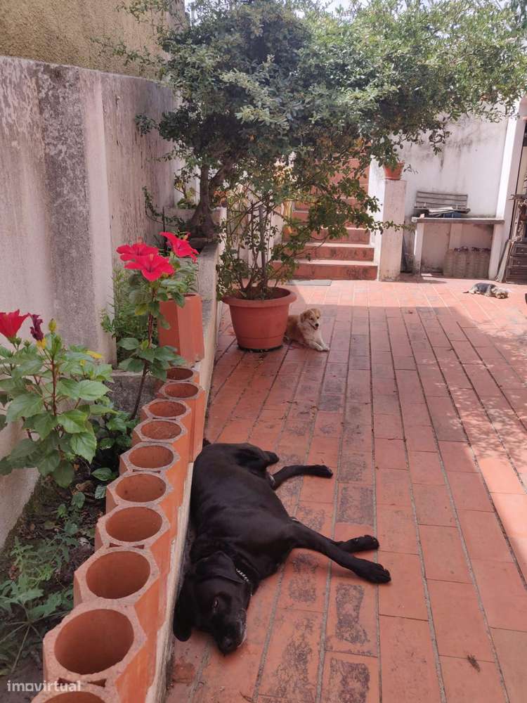 Moradia T5 com 2 Cadernetas + 3 Utilizações Independentes | Loures.-17