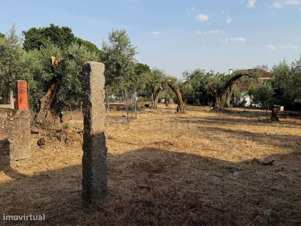 Moradia independente com 500 m2 de construção e terreno com 10.000 m2-10