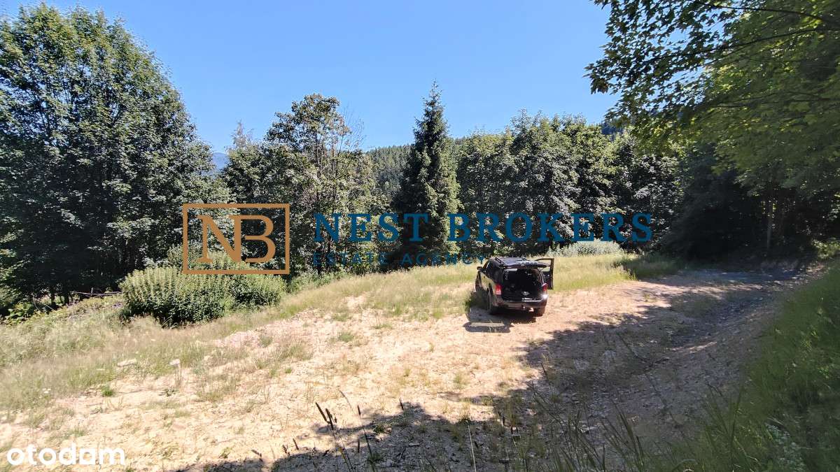 Zawoja - Działka w górach której szukałeś - Pełny obrazek: 3/15