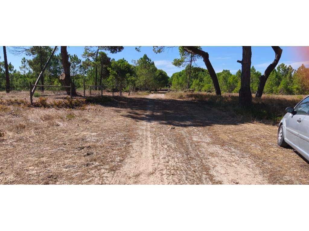 Terreno rústico em Fetais - Grande imagem: 5/5