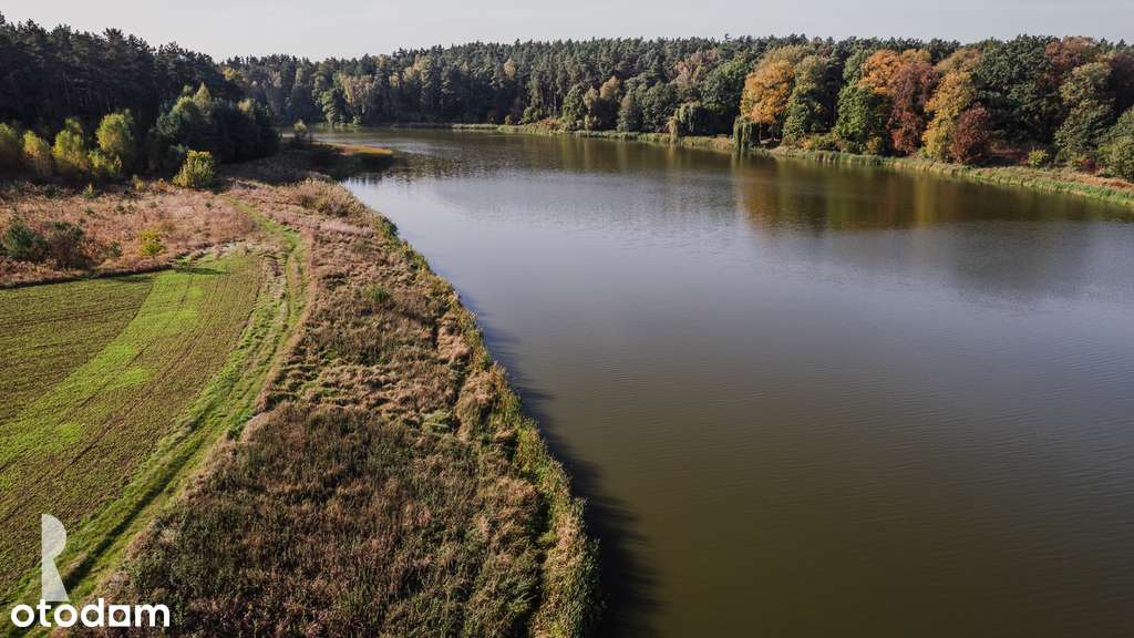 Radzyny – działka z MPZP przy lesie i zalewie - Pełny obrazek: 5/7