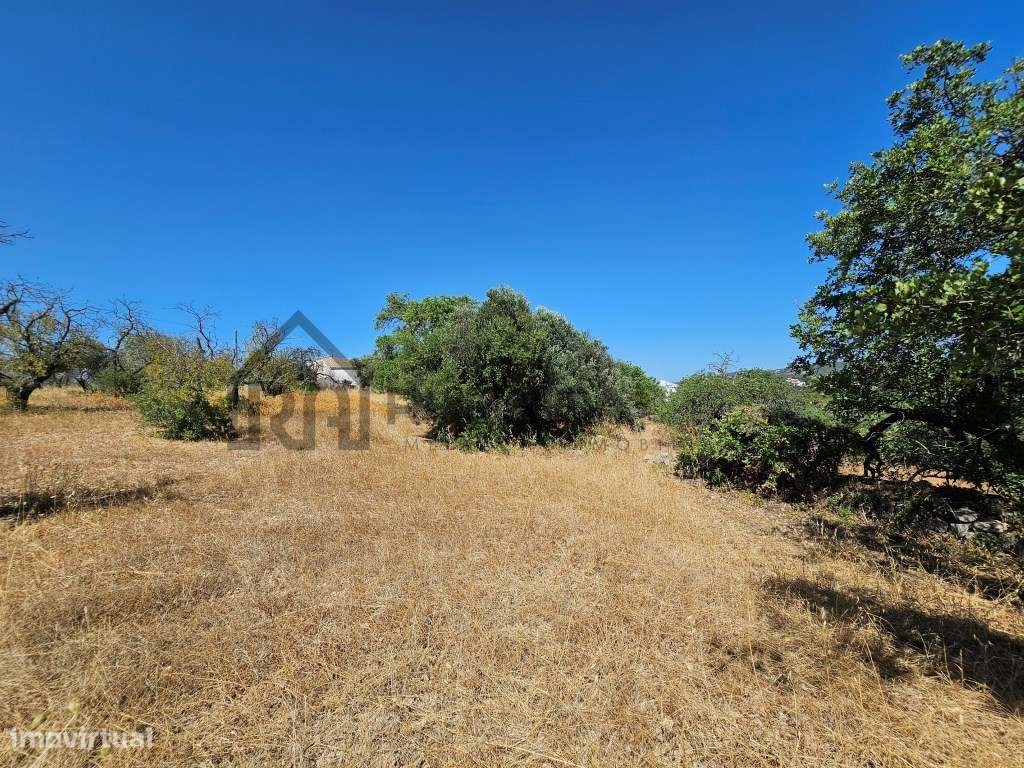 Casa com herdade de 30 mil m2 a sul de Loulé com enorme potencial-10