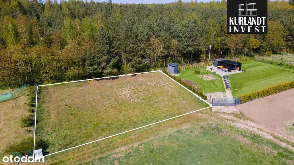 Działka z widokiem na las Bory Tucholskie - Pełny obrazek: 5/5