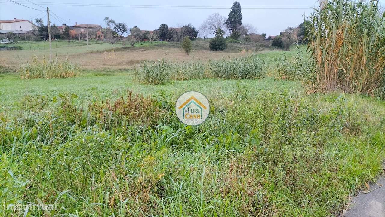 Terreno Rústico com Viabilidade de Construção - Grande imagem: 4/15