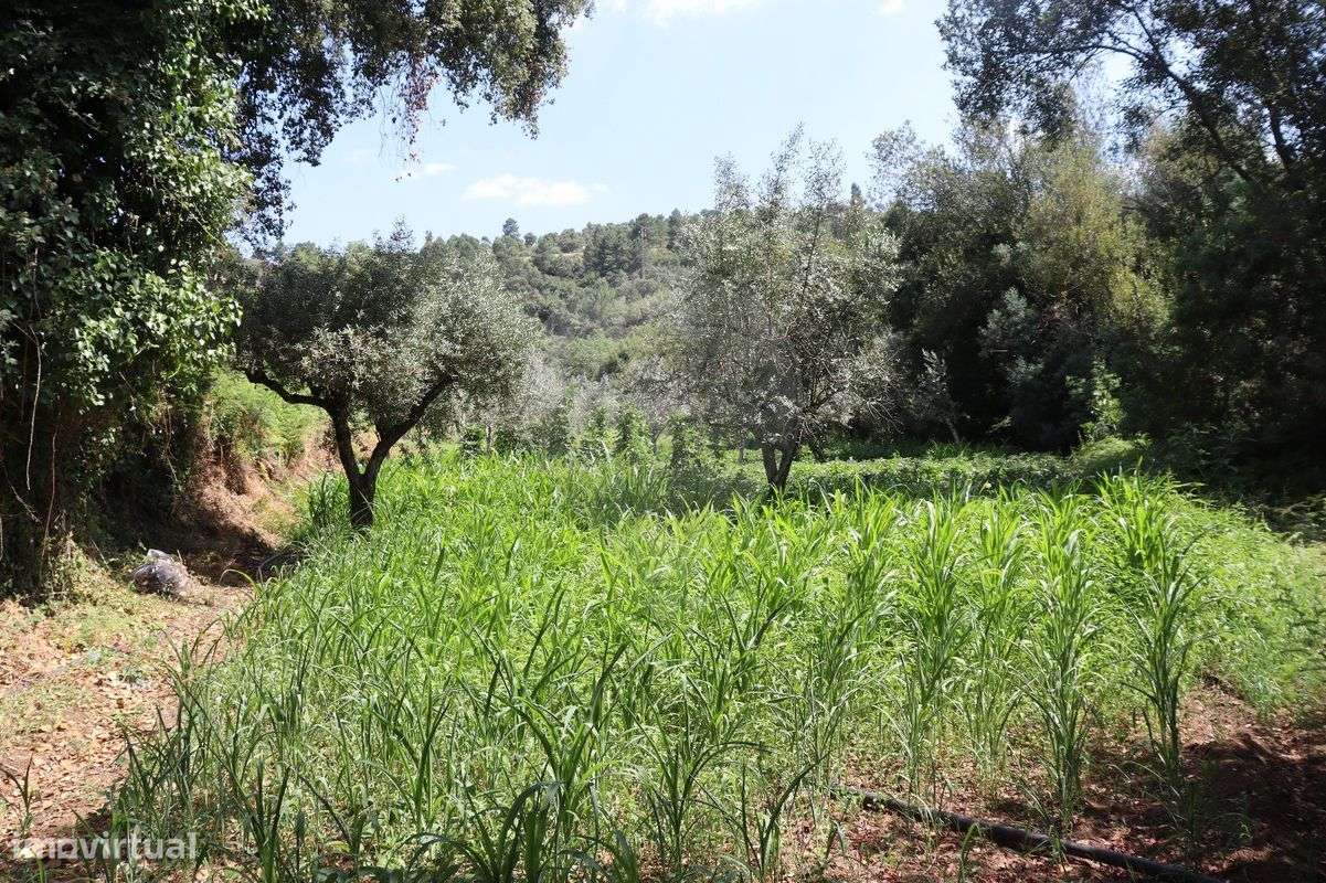 Terreno  para venda - Grande imagem: 4/11