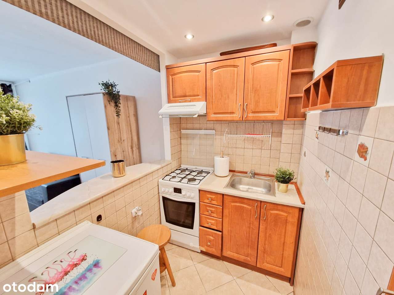 Pokój z kuchnią Kraków Bronowice - Pełny obrazek: 3/7