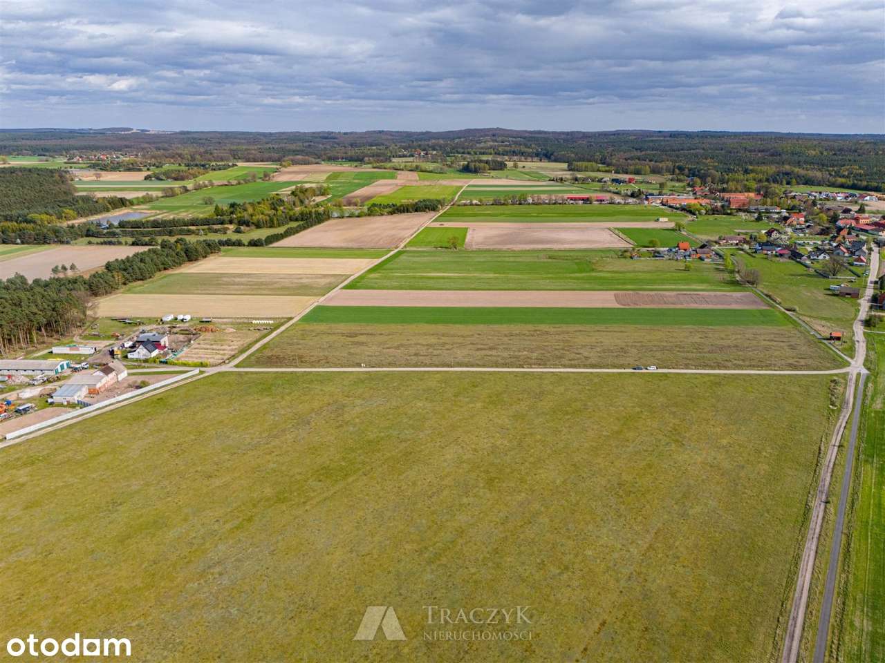 Film,Dolina Baryczy,media w drodze, las, jeziora, - Pełny obrazek: 4/9