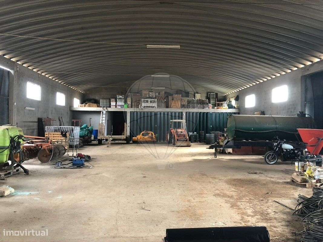 Quinta T6 para venda-12