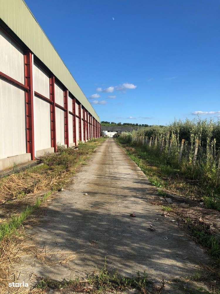 Spatii depozitare 235 mp lângă Reghin - Imagine principală: 2/7