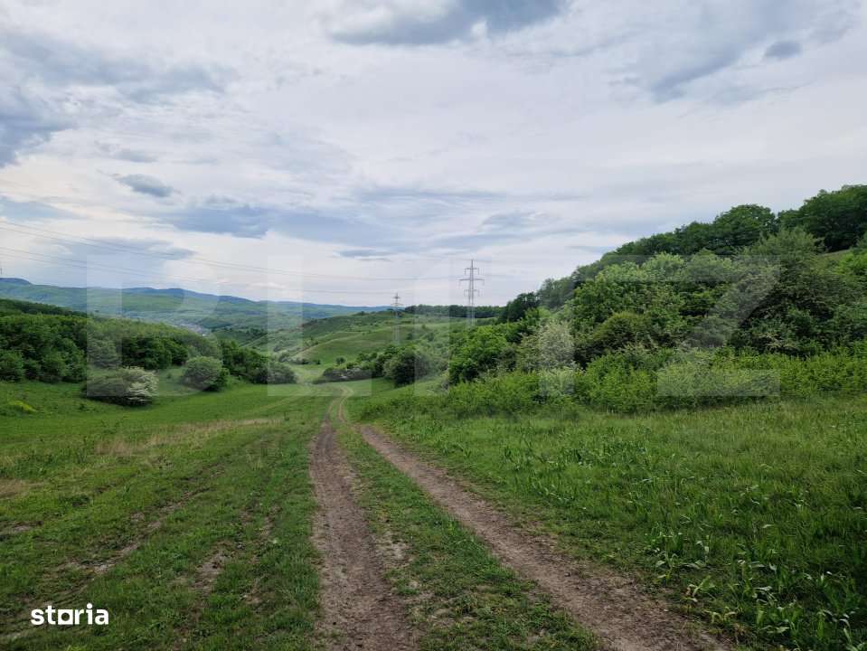 Teren extravilan de vanzare Vlaha 15.000 mp, zona superba, ideal pentr - Imagine principală: 3/3