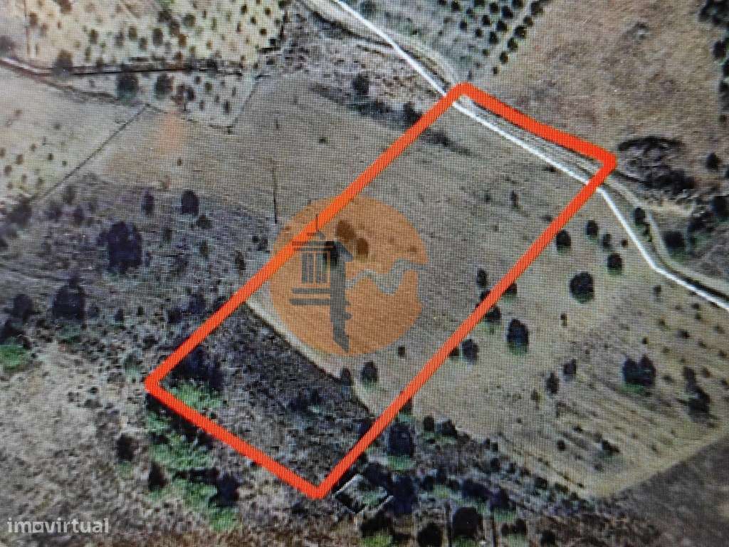 TERRENO RÚSTICO COM 6.960 M2 - RIO SECO - CASTRO MARIM - ALGARVE - Grande imagem: 2/26