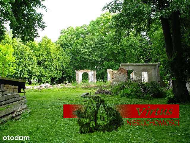 Park w Radomicach - Pełny obrazek: 5/12