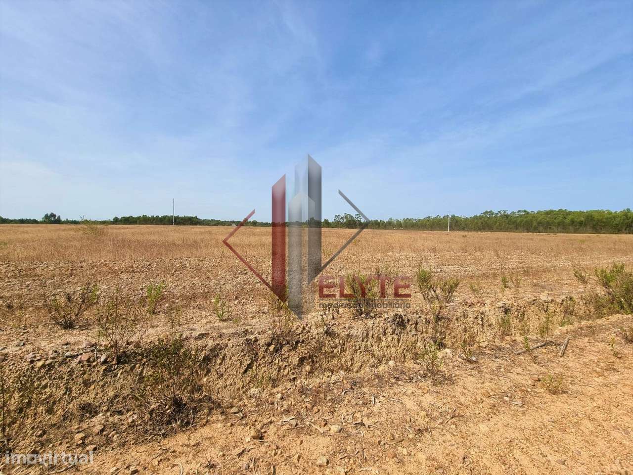 Terreno em Gloria do Ribatejo com 13ha-11