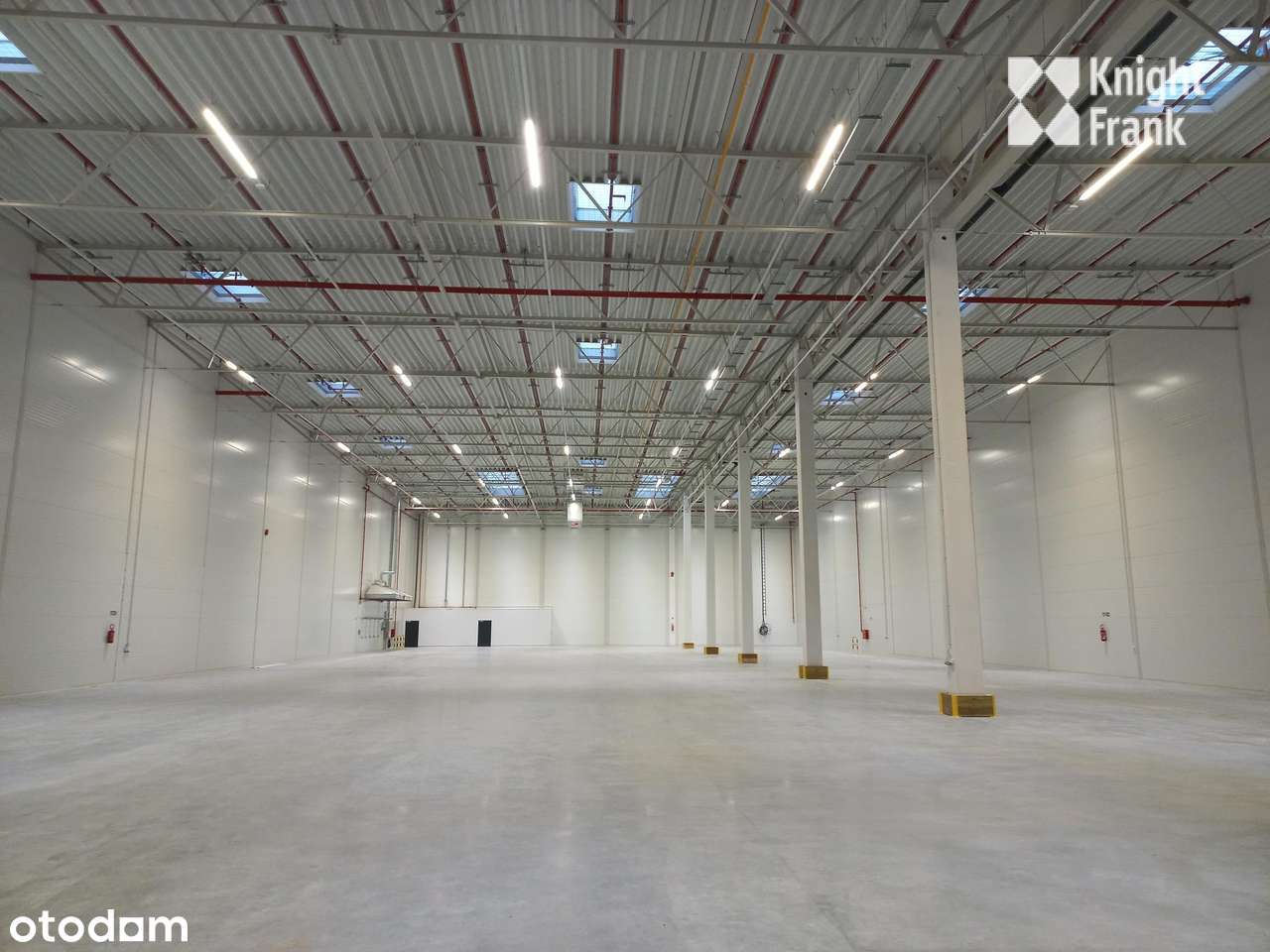 Magazyn do wynajęcia / od 500 m2 / Bydgoszcz