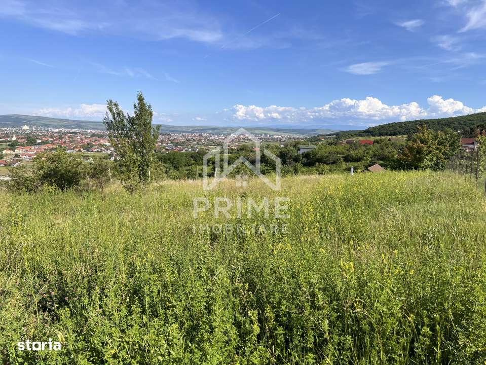 TEREN INTRAVILAN 972 MP, ALBA MICESTI - Imagine principală: 4/4