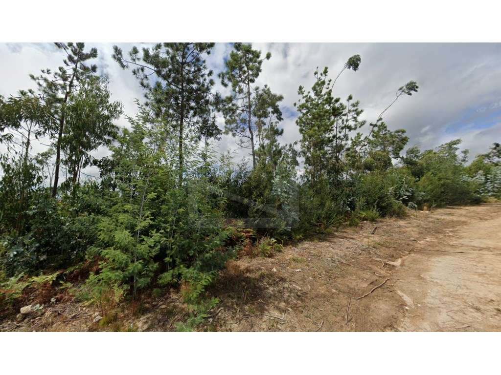 Terreno em S. Vicente de Pereira - Grande imagem: 5/6