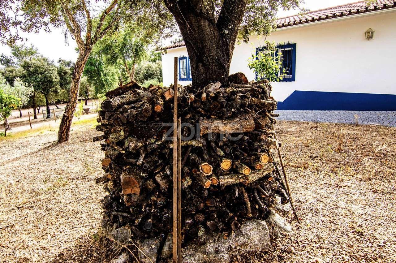 ESPETACULAR MONTE ALENTEJANO DE LUXO, T4+1, JUNTO AO CRATO-PORTALEGRE-8