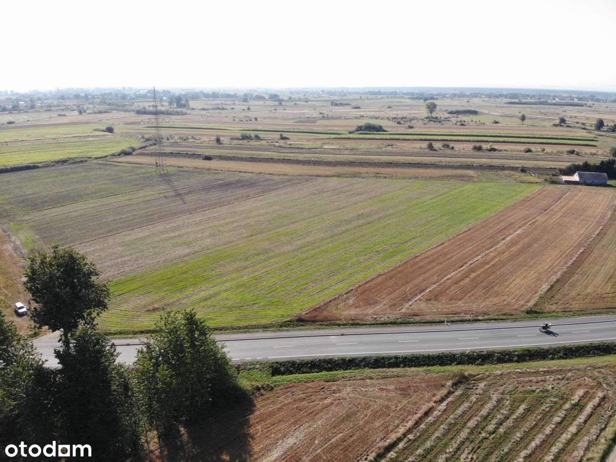 Działka, 30 200 m², Grobla-3