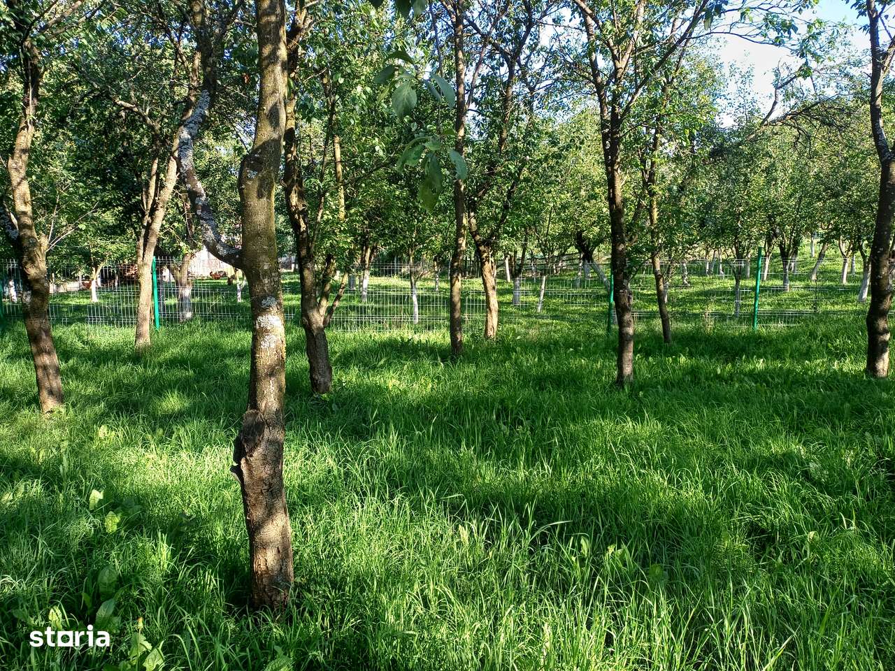 Vânzare casă în comuna Chinteni-8