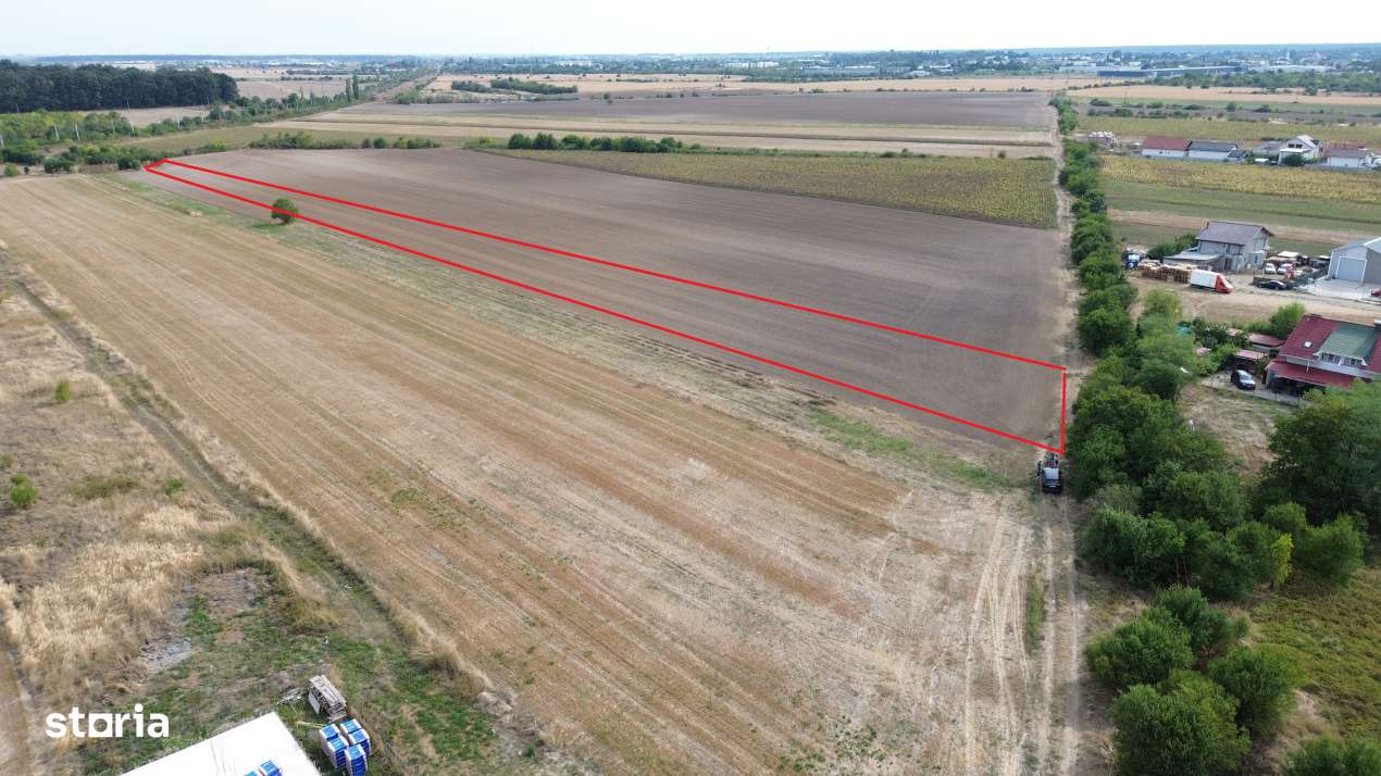 Teren intravilan 6000 mp Darza 13E/mp deal pentru case, ferma, product - Imagine principală: 5/7